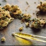 illegal-cannabis-sales-uk-health-risks