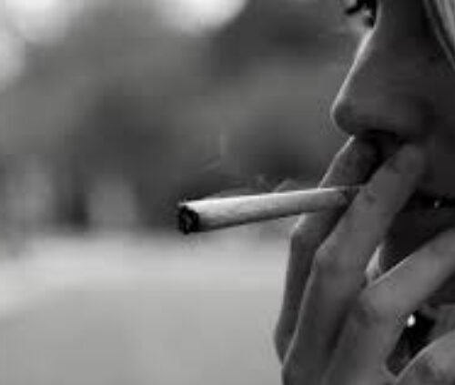 Breaking the Grass Ceiling: Young Women Lead a Cannabis Consumption Revolution