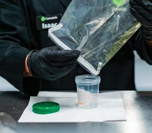 High Pesticide Levels in California Cannabis Products Raise Consumer Safety Concerns