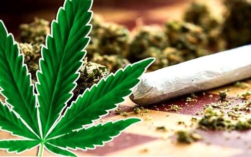 Cannabis and Hallucinogen Use at ‘Historically High Levels’: New Research