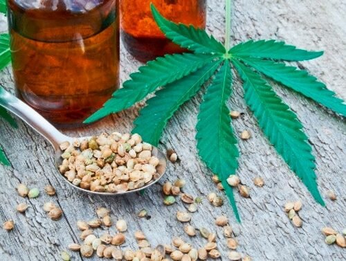 Eliot Harmer Jailed After Accidentally Setting Partner on Fire During Cannabis Oil Production