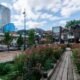 Medical Cannabis Dispensary Opens in Brooklyn Park