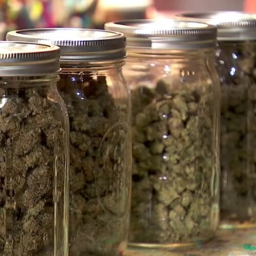 Minnesota Judge Delays Cannabis License Lottery After Lawsuits Filed