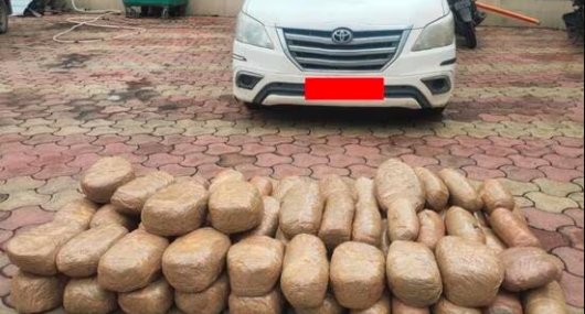 NCB cannabis trafficking arrest