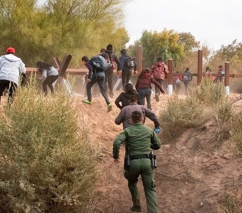 New Mexico Authorities Eradicate 170,000 Pounds of Illegal Cannabis in Waterflow Operation