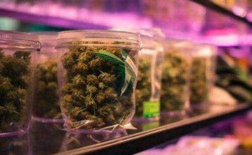 PleoPharma’s PP-01 Shows Promise for Treating Cannabis Withdrawal Syndrome