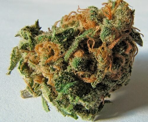 Smoking Cannabis Linked to Brain Changes in Teenagers, Study Reveals