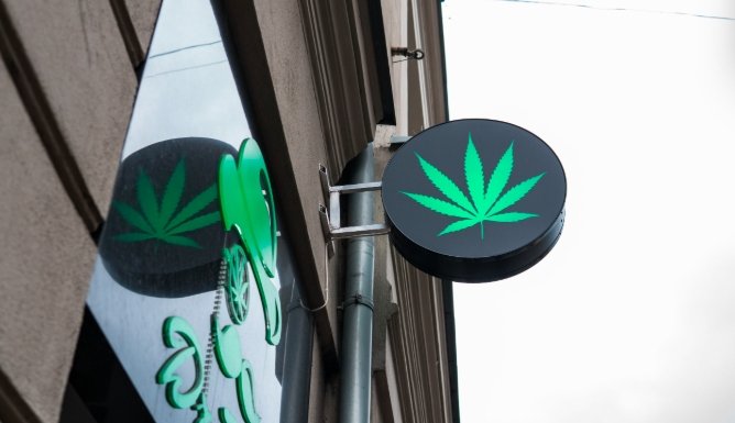 cannabis business shutdown DC