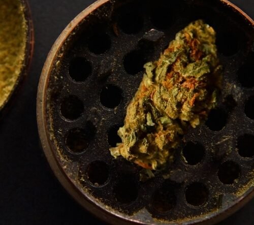 A Mixture of Cannabis and Care: Canna Care Opens Its Doors in Grand Junction