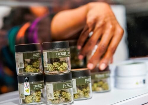 What Can We Learn from America’s Cannabis Legalisation Experiment?