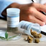 cannabis harm reduction, cannabis substance use, New Zealand drug study