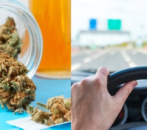 Understanding Cannabis Impairs Driving on the Rise; Canadians Still Driving High