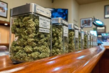 Minnesota Cannabis License Denials: Two-Thirds of Applicants Rejected in Initial Round