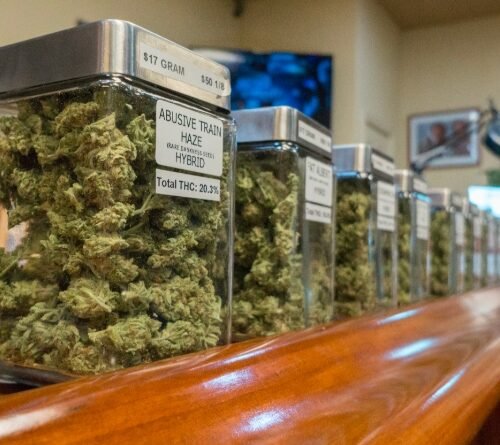 Minnesota Cannabis License Denials: Two-Thirds of Applicants Rejected in Initial Round