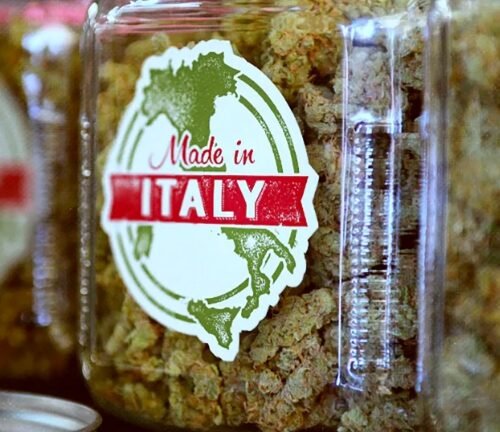 Italy Moves to Restrict the ‘Cannabis Light’ Industry: A Clash Over Public Morality and Economic Interests