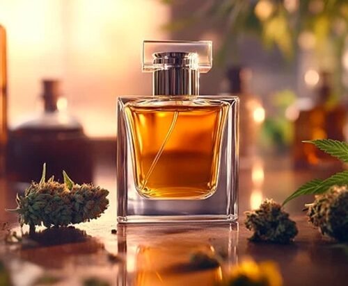 Cannabis Fragrances: The Surprising Scent Trend You Need to Try