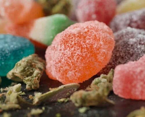 Kids and Cannabis: A Growing Danger in the U.S.