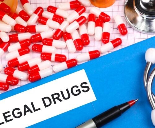 Greater Noida Man Arrested for Illegal Cannabis Cultivation in His Apartment