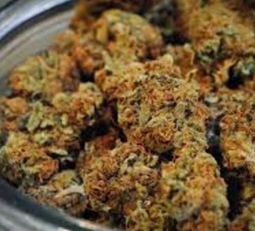 Kentucky Moves Toward Medical Marijuana Launch, Patients Can Soon Obtain Certificates