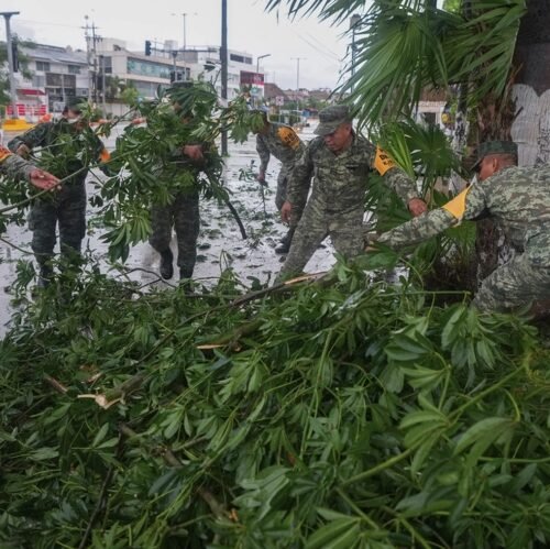 New Mexico Cannabis Seizure Leads to Legal Battle After Record Destruction