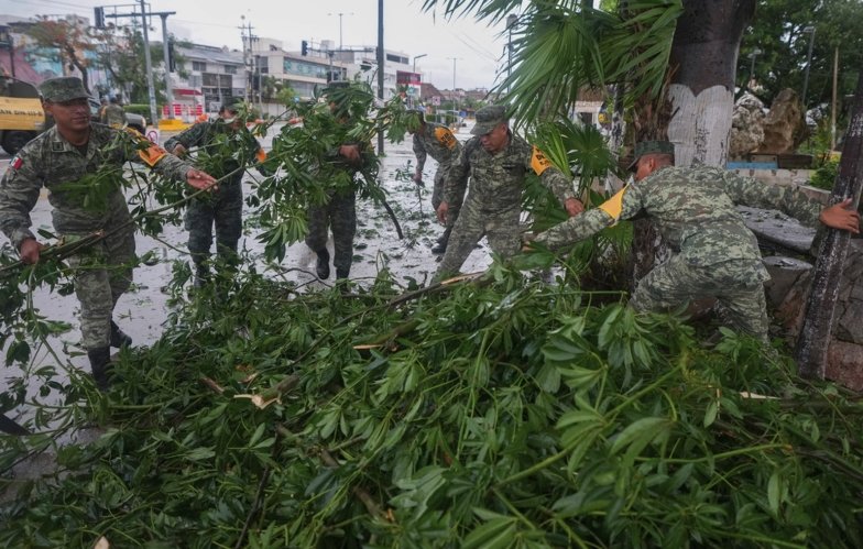 marijuana plants destroyed New Mexico