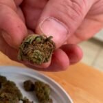 medical cannabis dispensaries in northern kentucky