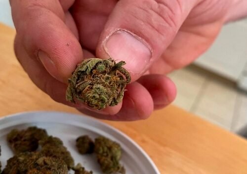 Four Northern Kentucky Businesses Win Medical Cannabis Dispensary Licenses