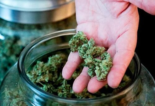 Medicinal Cannabis Sales Boom, But Unethical Prescribing Puts Australians at Risk, Report Finds