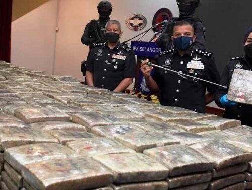 Madhya Pradesh Police Seizes Cannabis Worth ₹12.65 Lakh in Separate Raids; Two Arrested
