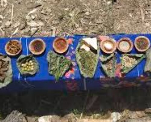 Where Trash Talk, Ocean Plastic, and Cannabis Meet