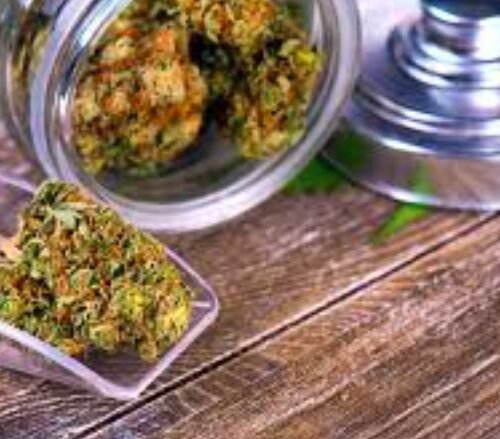 CannExpo 2025: Toronto’s Ultimate Cannabis Lifestyle Celebration