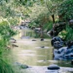 Northern California Ranch with Cannabis Farm