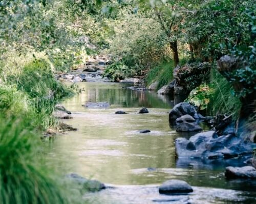 Northern California Ranch with Cannabis Farm and Gold-Bearing Stream Lists for $7.2 Million