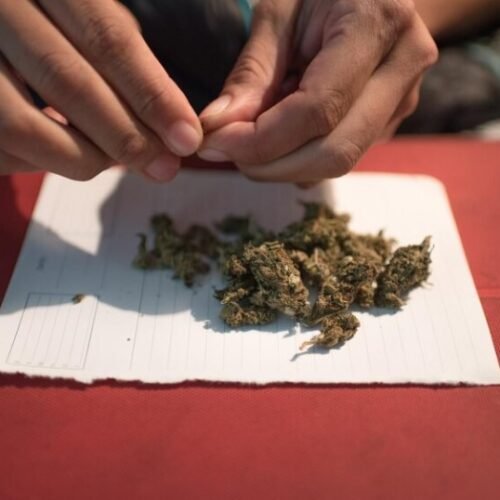 Pennsylvania Governor Renews Push for Marijuana Legalization in 2025 as Lawmakers See New Hope