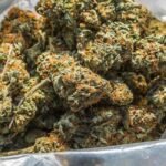 Ohio’s Cannabis Prices See Gradual Decline Post-Recreational Launch