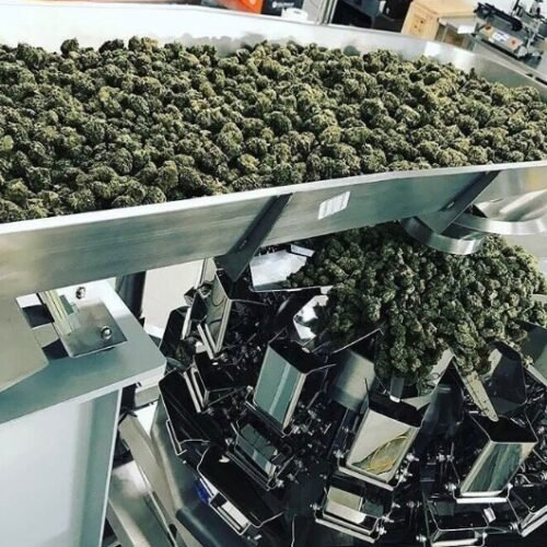 Cannabis Distributor Supercharges Packaging Efficiency with Automation