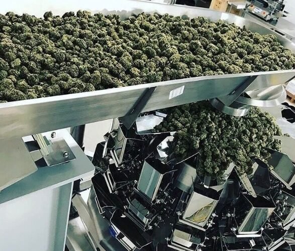 automation, cannabis packaging