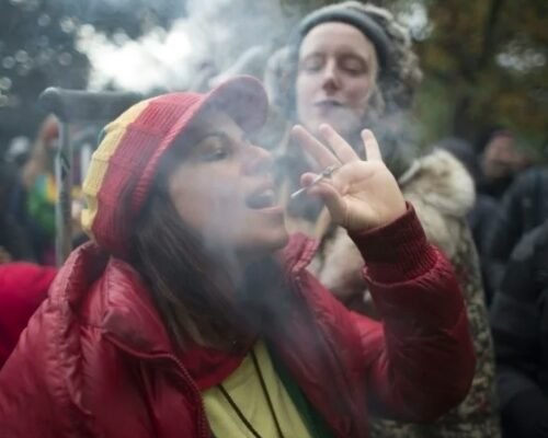 Research Reveals Age-Based Dynamics in Cannabis and Tobacco Consumption