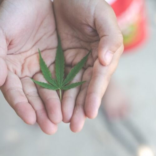 Federal Marijuana Policy in 2024: Key Developments and Ongoing Challenges