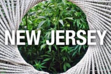 New Jersey Hemp Companies in Talks with State Officials Over Controversial Ban on Intoxicating Products