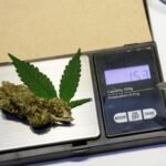 Fatal Traffic Crashes Linked to Marijuana Drop 30% in Ohio Following Legalization