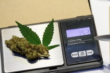 Fatal Traffic Crashes Linked to Marijuana Drop 30% in Ohio Following Legalization