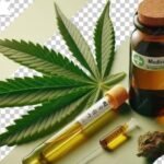 Florida Bill Proposes Home Cultivation for Medical Marijuana Patients and Crackdown on Hemp-Derived Cannabinoids