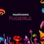 New York Bill Proposes Legalizing Psychedelics Like Psilocybin and Ibogaine