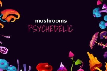 New York Bill Proposes Legalizing Psychedelics Like Psilocybin and Ibogaine