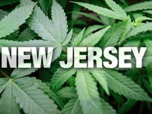 New Jersey Cannabis Businesses Push for Home Cultivation as Governor Holds Firm