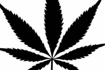 “Rolling Derby”: A First-of-Its-Kind Marijuana Competition Is Here to Test Your Joint-Rolling Skills