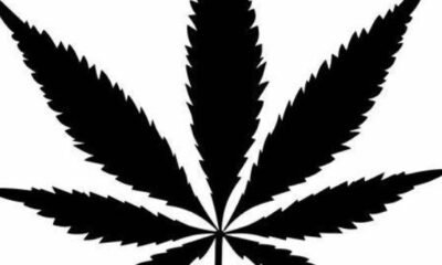 "Rolling Derby": A First-of-Its-Kind Marijuana Competition Is Here to Test Your Joint-Rolling Skills