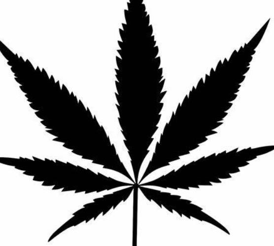 “Rolling Derby”: A First-of-Its-Kind Marijuana Competition Is Here to Test Your Joint-Rolling Skills