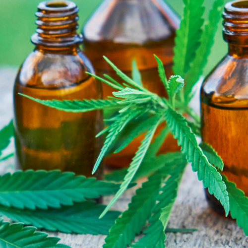 Rand Paul Draws Line Over Hemp Ban in Spending Bill Battle